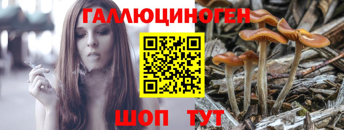 Галлюциногенные грибы прущие грибы Таганрог